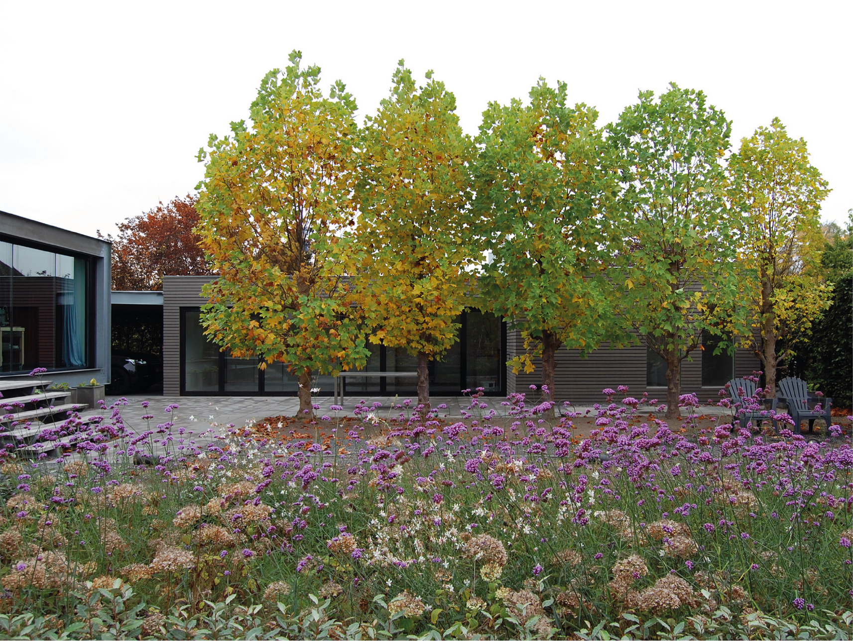 Patrijzenlaar 11, Bavel_1