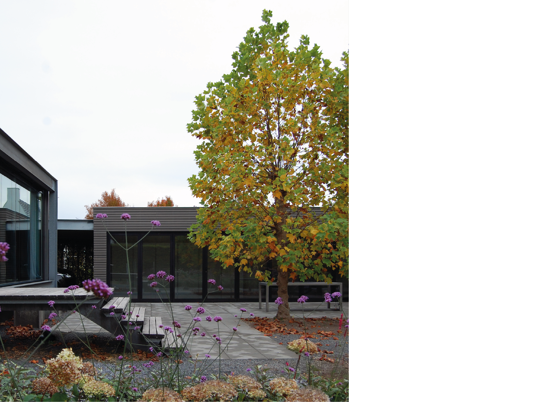 Patrijzenlaar 11, Bavel_2