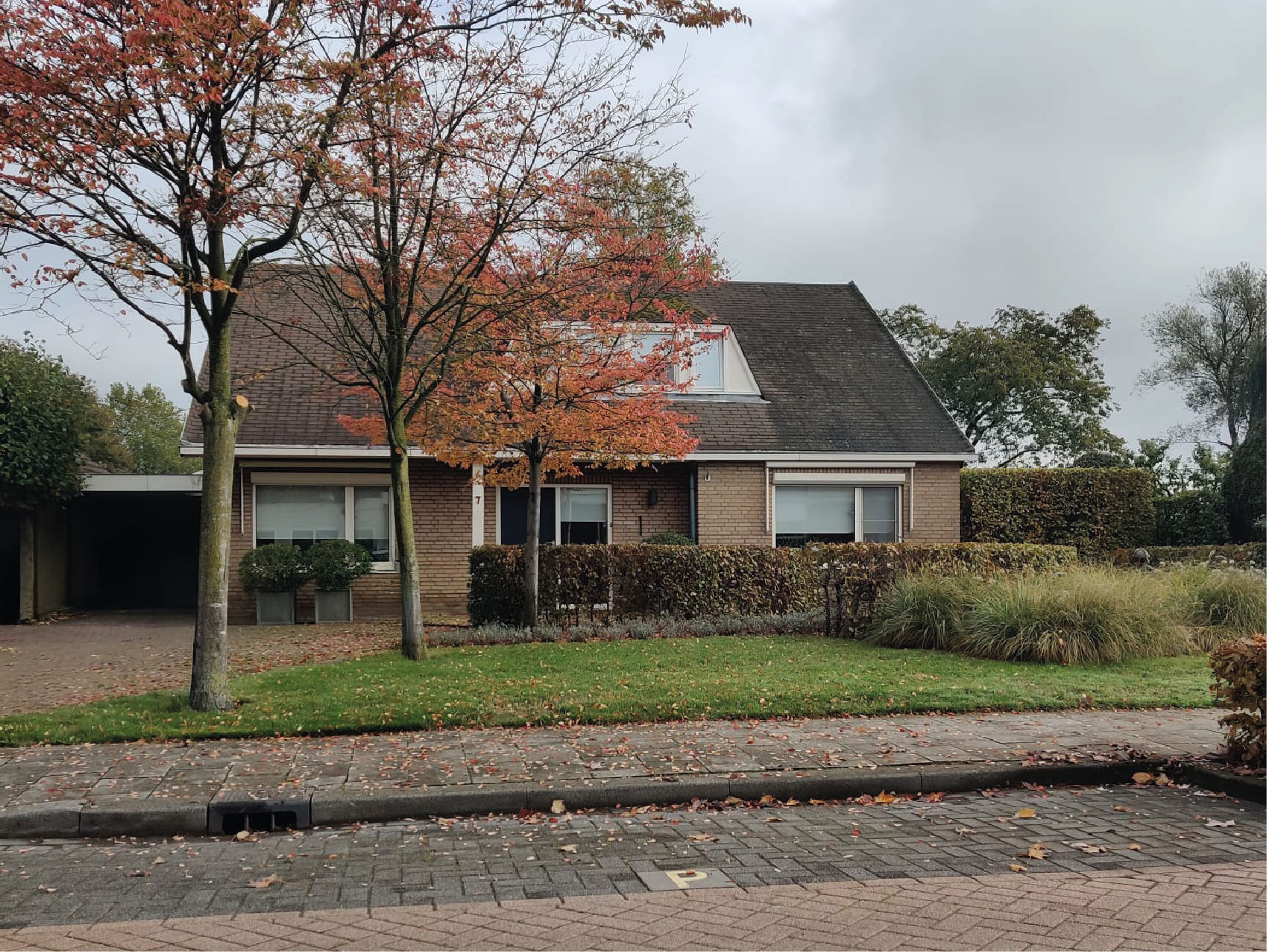 Wolfsdonk 7, Chaam_1